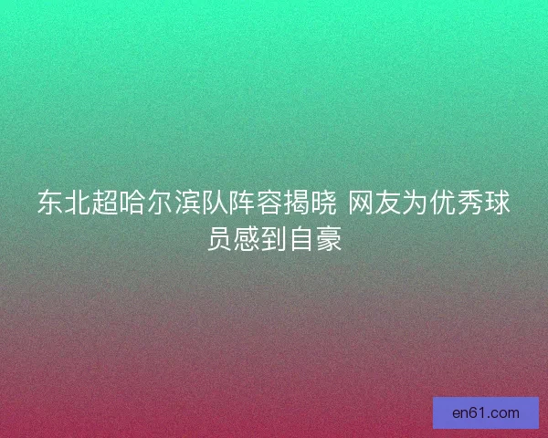 东北超哈尔滨队阵容揭晓 网友为优秀球员感到自豪