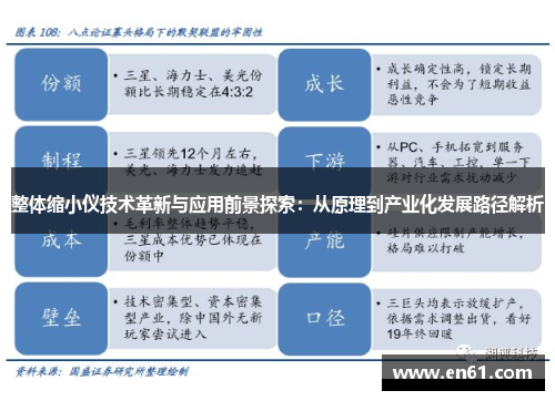 整体缩小仪技术革新与应用前景探索：从原理到产业化发展路径解析