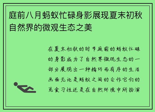 庭前八月蚂蚁忙碌身影展现夏末初秋自然界的微观生态之美